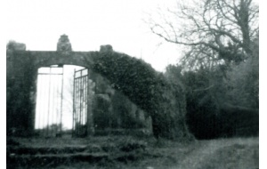 1969 - Cementerio Viejo